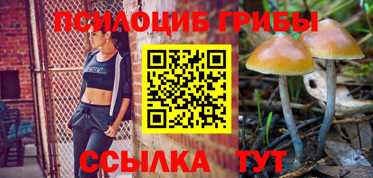 Галлюциногенные грибы Psilocybe Комсомольск-на-Амуре