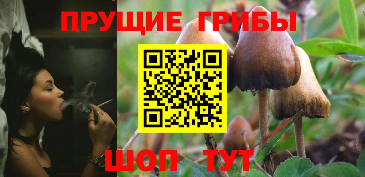 Комсомольск-на-Амуре  Галлюциногенные грибы ЛСД  Вход с VPN 